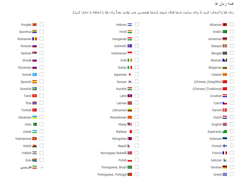 افزونه چند زبانه کردن سایت | WPML Multilingual CMS