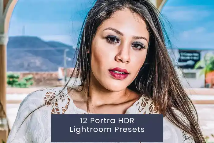 دانلود مجموعه 12تایی پریست لایت روم Portra