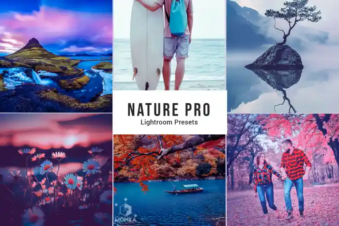 دانلود مجموعه 25تایی پریست لایت روم Nature Pro